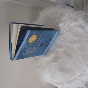 The Amazing adventures of Harry Moon